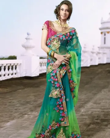 Picture for category Net Saree