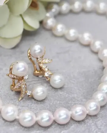 https://orchid.nop-station.com/images/thumbs/0000195_pearl-jewellery_450.webp
