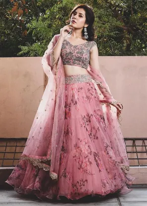 Picture of Fancy Net Lehenga with Contrast Blouse